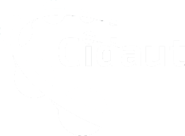 Logo CIDAUT