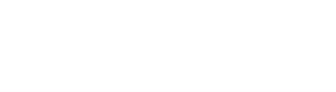Logo IBV